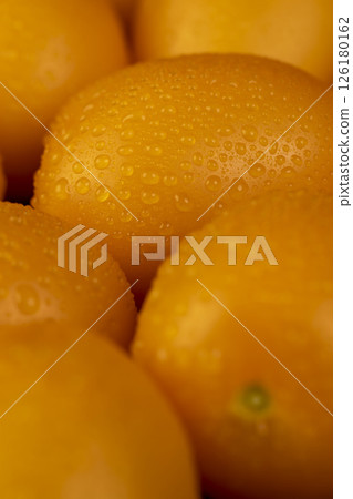 wet ripe orange tomatoes that are on the table, clean washed orange tomatoes wet ripe orange tomatoes that are on the table, clean washed orange tomatoes 126180162
