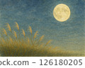 A full moon night in a field of silver grass 126180205