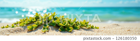 Green succulent on sandy beach. 126180350