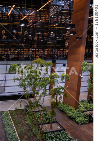 Public Library architecture bookcase Indoor trees Modern interior design of library in European Solidarity Centre Gdansk Poland. Biophilia design connecting with nature green areas. Modern abstract Public Library architecture bookcase Indoor trees Modern interior design of library in European Solidarity Centre Gdansk Poland. Biophilia design connecting with nature green areas. Modern abstract 126180403