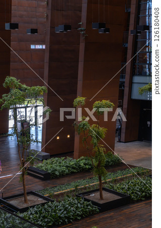 Indoor trees Modern interior design in European Solidarity Centre Gdansk Poland. Biophilia design connecting with nature green areas. Modern abstract museum in Europe. Travel destination 126180408