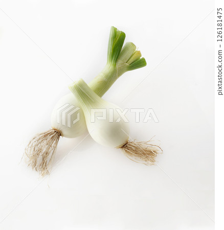 New onion 126181475