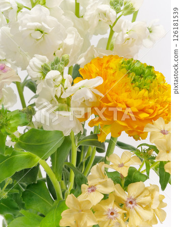 Ranunculus, stock and phlox flowers 126181539