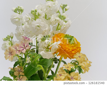 毛茛、紫羅蘭和福祿考花 毛茛、紫羅蘭和福祿考花 126181540