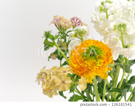 毛茛、紫羅蘭和福祿考花 126181541
