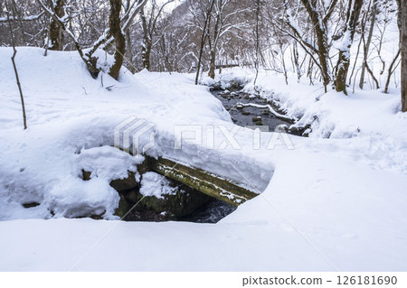 穿著雪鞋在森林裡享受新雪的景象 大山木澤溪流 穿著雪鞋在森林裡享受新雪的景象 大山木澤溪流 126181690