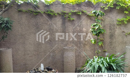 綠葉繁茂的花園 綠葉繁茂的花園 126182737