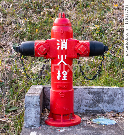 cute hydrant 126182782