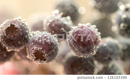 Blueberries soaked in water and making bubbles .Background concept. Generated Image Blueberries soaked in water and making bubbles .Background concept. Generated Image 126183390