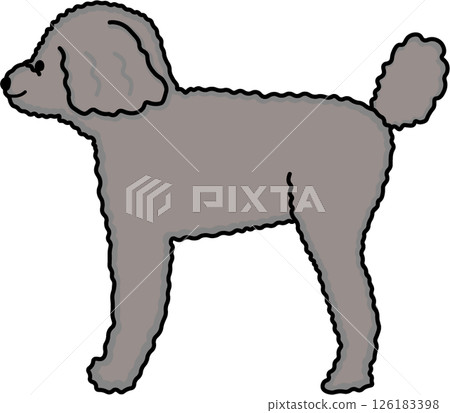 灰色方形玩具貴賓犬的側面視圖 灰色方形玩具貴賓犬的側面視圖 126183398