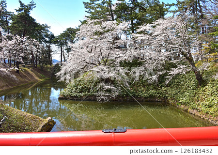 Hirosaki Park: Japan's best cherry blossoms 126183432