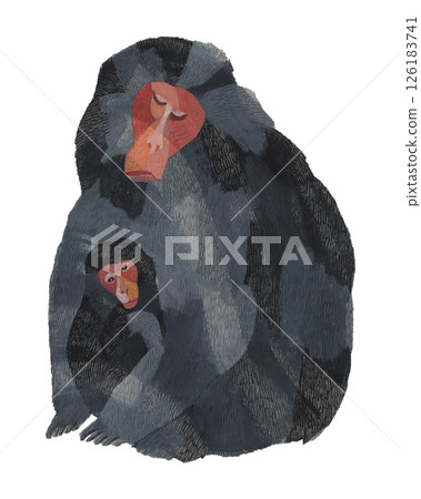 Watercolor illustration of a Japanese macaque parent and child Watercolor illustration of a Japanese macaque parent and child 126183741