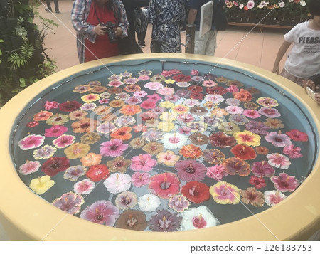 賣花水盆的攤位 126183753