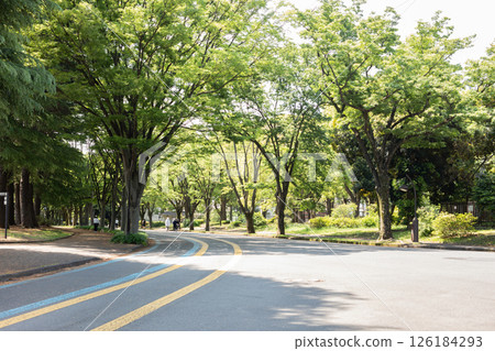 Mayagiya公園 126184293