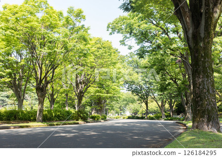 Mayagiya公園 Mayagiya公園 126184295