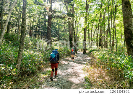<長野> 上高地健行 <長野> 上高地健行 126184561