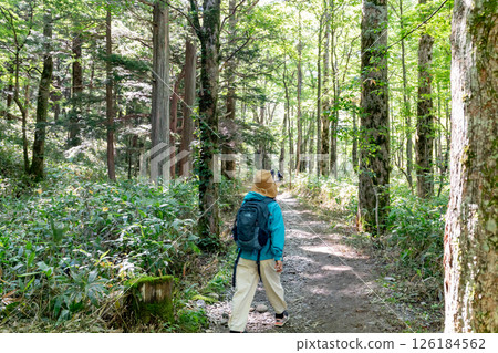<長野> 上高地健行 126184562