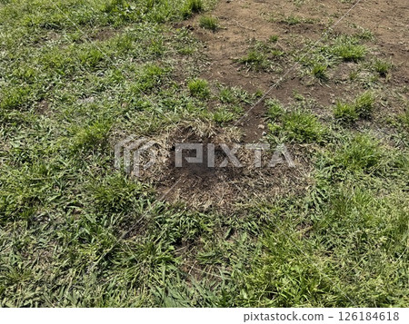 Camping Scorched Earth Camping Scorched Earth 126184618