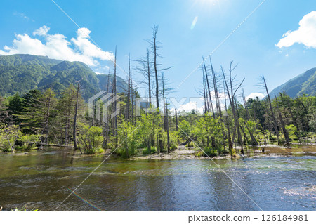 <Nagano> The magnificent views of Kamikochi: Dakezawa Marsh and Mt. Rokuhyaku 126184981