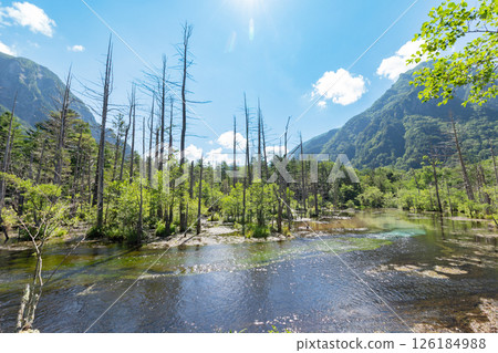 <長野>上高地的壯麗景色：岳澤沼澤和六百山 126184988