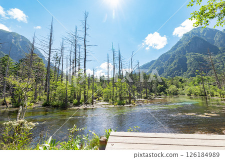 <Nagano> The magnificent views of Kamikochi: Dakezawa Marsh and Mt. Rokuhyaku 126184989