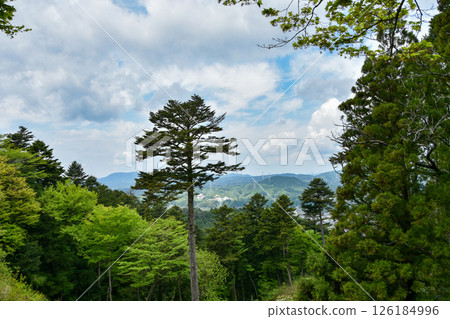 岐阜縣岩村城遺址的夏季風景 岐阜縣岩村城遺址的夏季風景 126184996