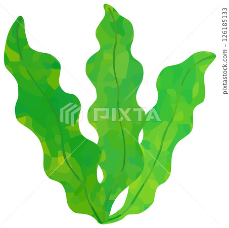 Wakame seaweed illustration vector material 126185133