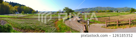 京都府北嵯峨田園景觀及歷史自然環境保護區紫雲英田的分佈 126185352