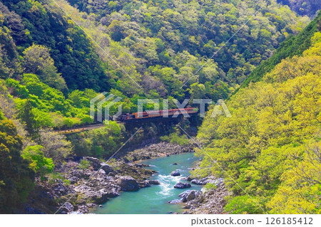 Sagano Scenic Train Traveling Through the Fresh Greenery of Hozukyo Gorge 126185412
