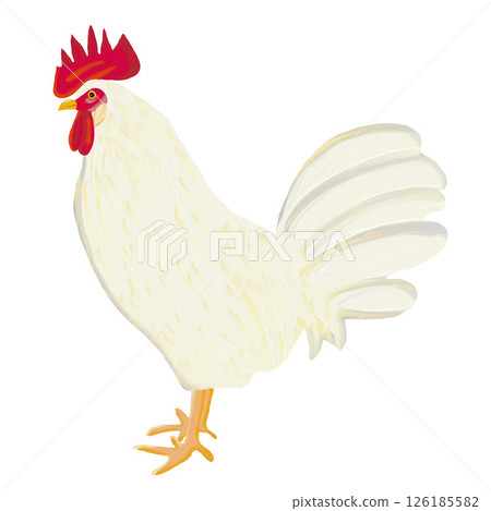 用油刷繪製的白公雞插圖剪貼畫插圖PNG 用油刷繪製的白公雞插圖剪貼畫插圖PNG 126185582