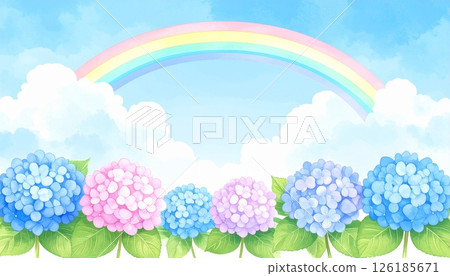 雨後彩虹和繡球花的風景畫 126185671