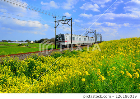 Train running rape field 126186019