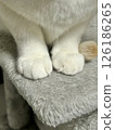 Cat's hand 126186265