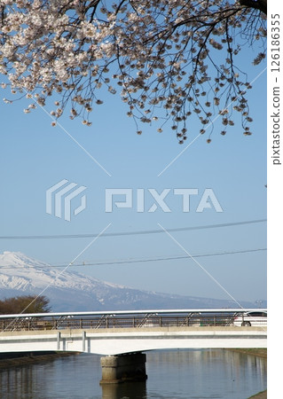 櫻花盛開‗240413‗249 櫻花盛開‗240413‗249 126186355
