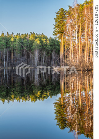 Calm lake with green trees on the shore and a beautiful reflection. Summer landscape. Calm lake with green trees on the shore and a beautiful reflection. Summer landscape. 126187205