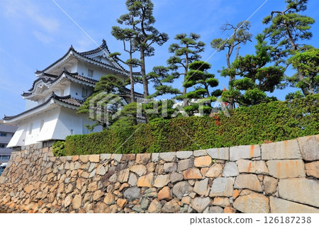 [Kagawa Prefecture] Ushitora Yagura in Tamamo Park 126187238