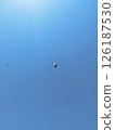 飛天燈籠 126187530