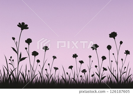 白花背景 126187605