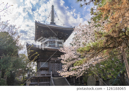 [No.1 Fudasho]櫻花盛開的靈善寺多寶塔[四國八十八寺] 126188065