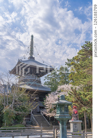 [No. 1 Fudasho] Tahoto Pagoda of Reizenji Temple with Cherry Blossoms [Shikoku Eighty-eight Temples] 126188709