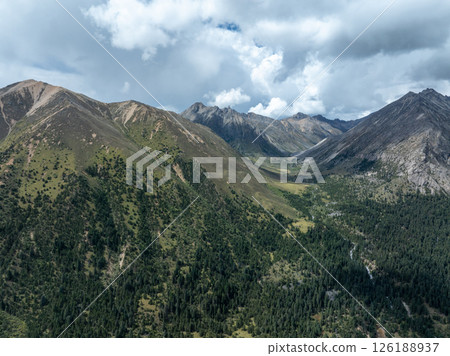 High altitude grassland and forest mountain in Sichuan, China 126188937