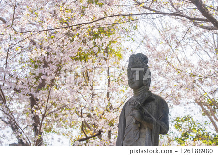 [No. 1 Fudasho] Cherry blossom blooming sacred mountain temple Marriage Kannon [Shikoku 88 temples] 126188980