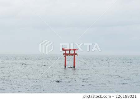 Torii that floats in the sea Torii that floats in the sea 126189021