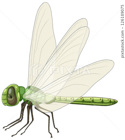 Detailed Vector Illustration of a Green Dragonfly 126189075