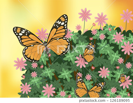 Monarch Butterflies on Vibrant Floral Bush Monarch Butterflies on Vibrant Floral Bush 126189095