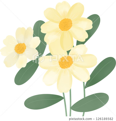 A charming digital watercolor illustration of three soft yellow daisy-like flowers with delicate petals and textured golden centers. 126189382