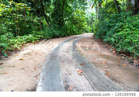 Tropical road to the beach on Praslin Island, Seychelles, winding through lush jungle with sand Tropical road to the beach on Praslin Island, Seychelles, winding through lush jungle with sand 126189398
