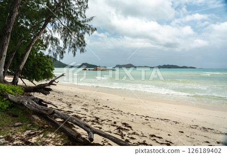 Tropical beach on Seychelles during offseason with cloudy sky, calm waves, driftwood Tropical beach on Seychelles during offseason with cloudy sky, calm waves, driftwood 126189402
