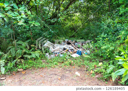 Illegal waste dump in Seychelles jungle on Praslin Island, showing pollution, litter 126189405