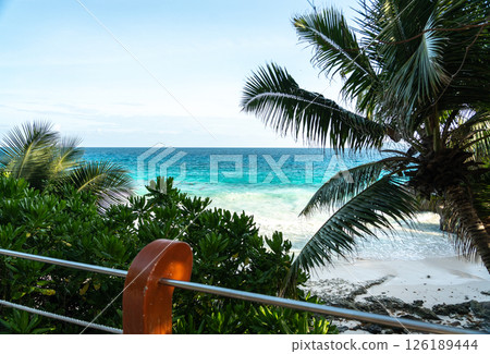View from the road at Anse Patates showing tropical palms, white beach, ocean waves View from the road at Anse Patates showing tropical palms, white beach, ocean waves 126189444